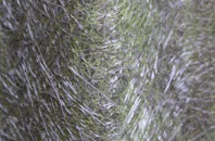 Bond End fibreglass roof work